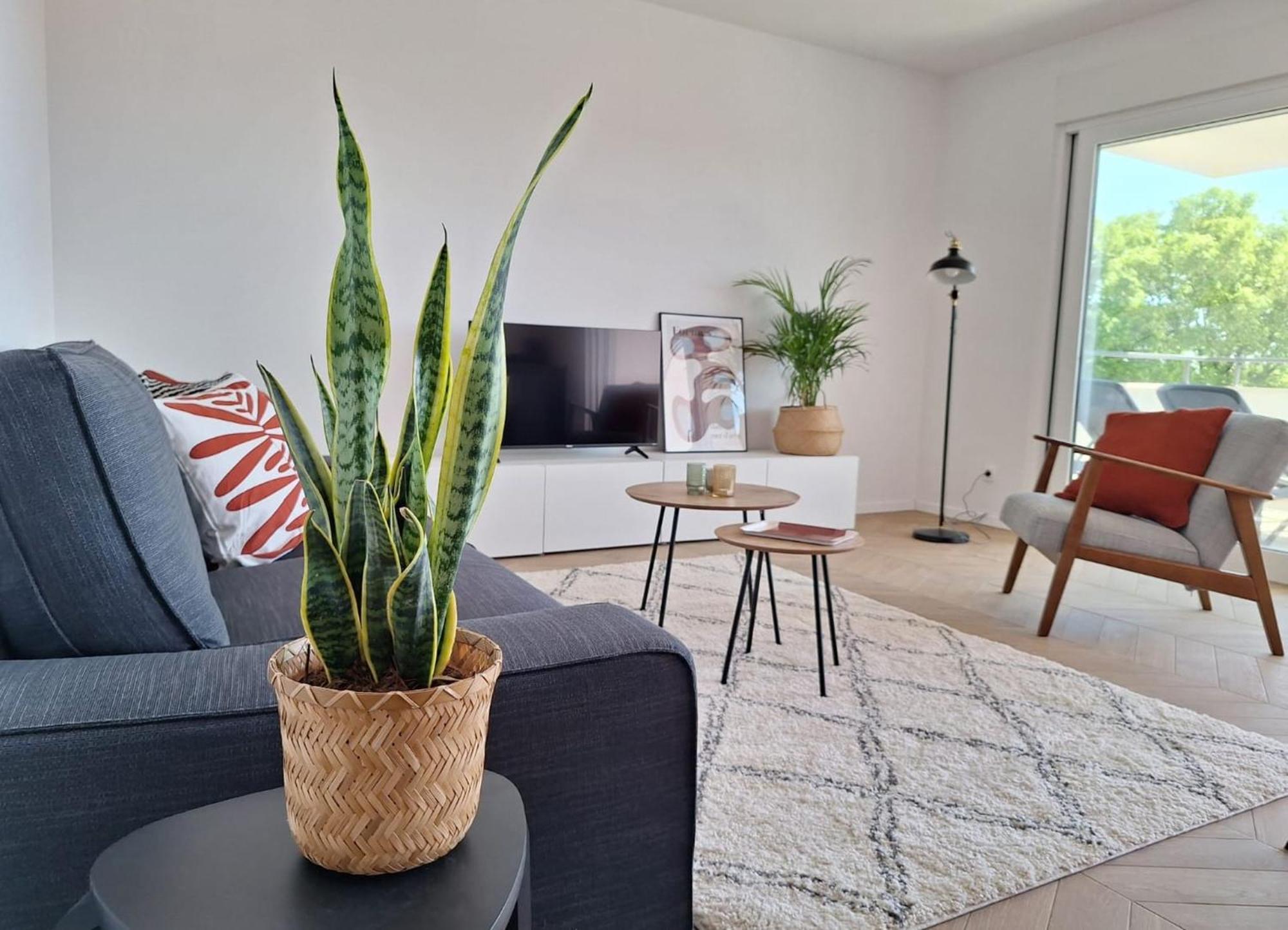 Sea View Apartments Ivana Krk Town Extérieur photo